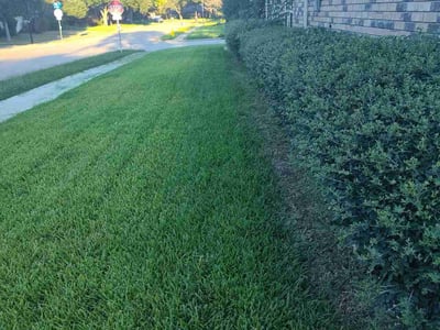 Lawn care service in Coppell, 75019