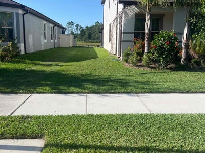 Lawn care service in Tampa, 33647