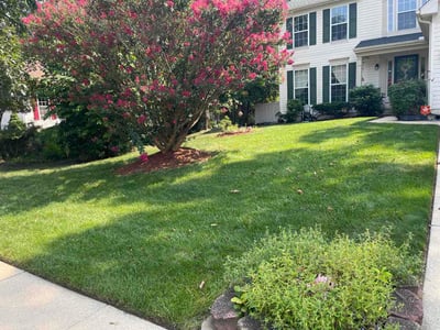 Lawn care service in Gloucester Township, 08081