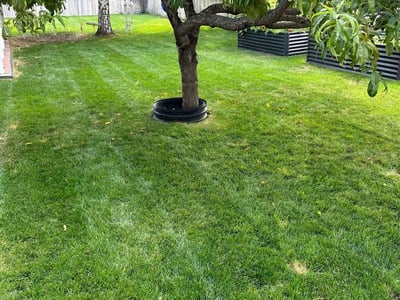 Lawn care service in Kennewick, 99336