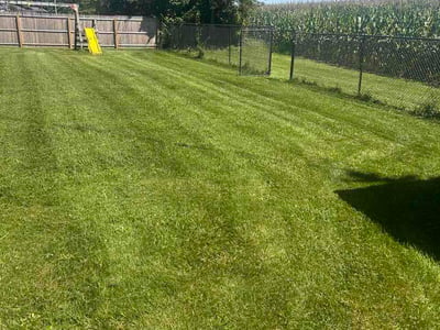 Lawn care service in Springfield, 45503