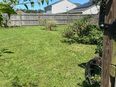 Lawn care service in Tallahassee, 32303