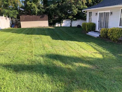 Lawn care service in Perry Hall, 21128