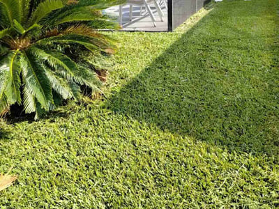Lawn care service in Kissimmee, 34746