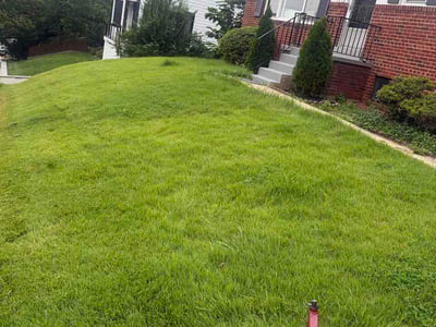 Lawn care service in Arlington, 22205