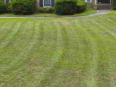 Lawn care service in Rincon, 31326