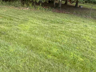 Lawn care service in Jackson Township, 08527