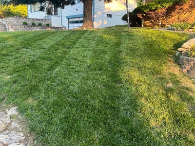 Lawn care service in Omaha, 68104