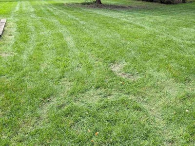 Lawn care service in Maple Grove, 55369