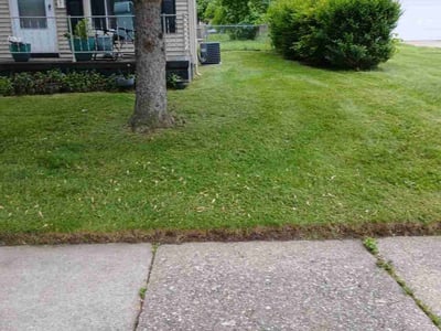 Lawn care service in Southgate, 48195