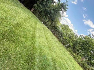 Lawn care service in Arlington, 22207
