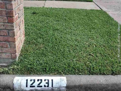 Lawn care service in Houston, 77077