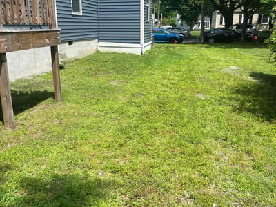 Lawn care service in Richmond, 23220