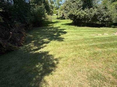 Lawn care service in Canfield, 44406