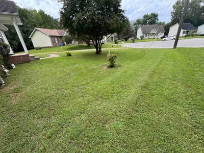 Lawn care service in Clarksville, 37042