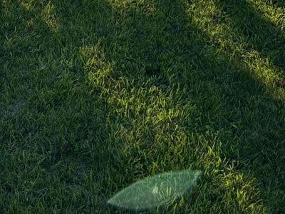 Lawn care service in Las Vegas, 89139