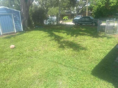 Lawn care service in St. Petersburg, 33710