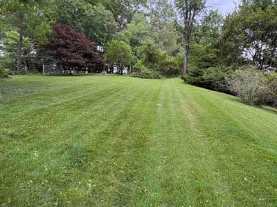 Lawn care service in Rockville, 20855