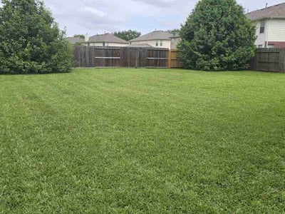 Lawn care service in Sugar Land, 77479