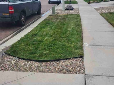 Lawn care service in Colorado Springs, 80924