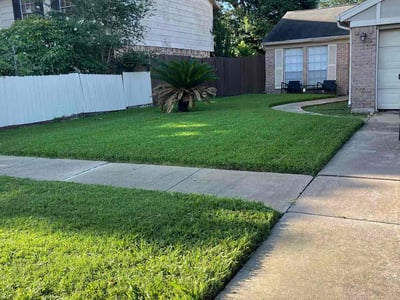 Lawn care service in Houston, 77072