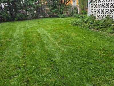 Lawn care service in Fort Collins, 80525