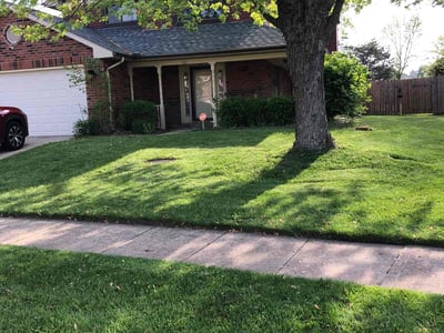 Lawn care service in Huber Heights, 45424