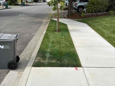 Lawn care service in Portland, 97223