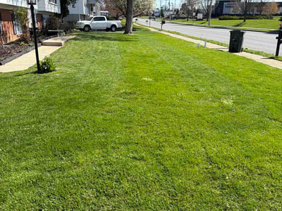 Lawn care service in Lancaster, 17601