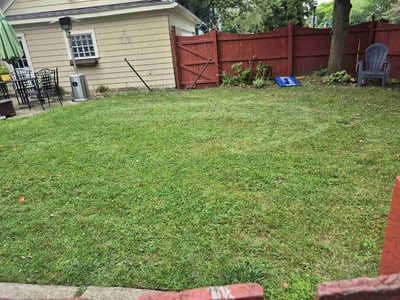 Lawn care service in Buffalo, 14216