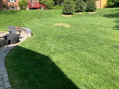 Lawn care service in Towson, 21204