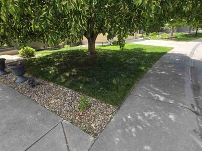 Lawn care service in Centennial, 80015
