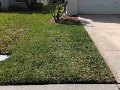 Lawn care service in Tampa, 33626