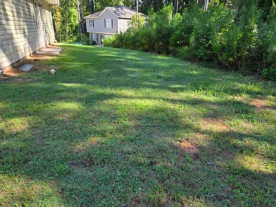 Lawn care service in Covington, 30016