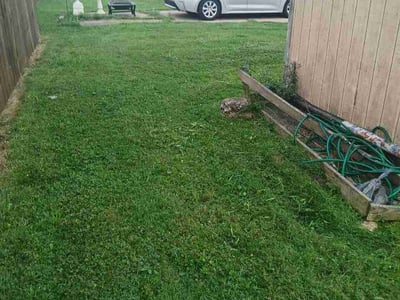 Lawn care service in Strongsville, 44136