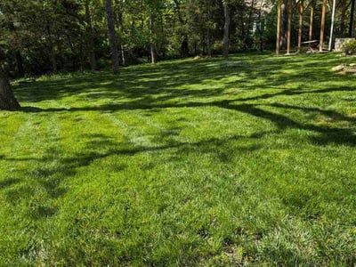 Lawn care service in Olathe, 66061