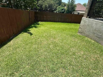 Lawn care service in Boerne, 78006