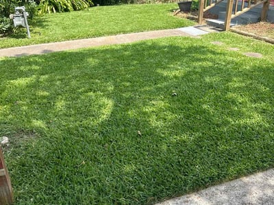 Lawn care service in Houston, 77022