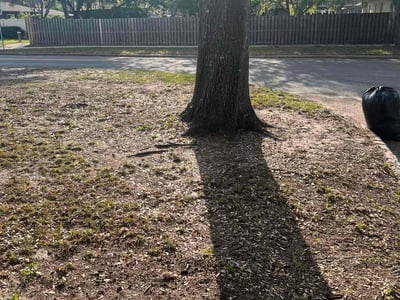 Lawn care service in Orlando, 32803