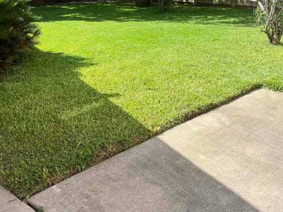 Lawn care service in Katy, 77450