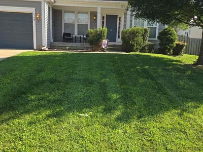 Lawn care service in Kansas City, 64118