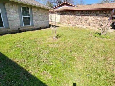 Lawn care service in Euless, 76039