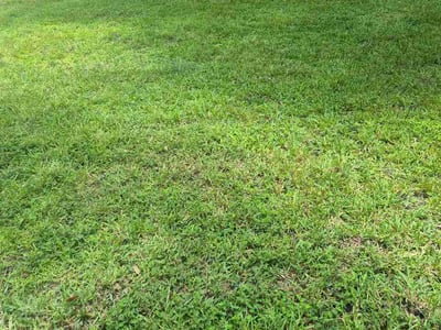 Lawn care service in Winter Garden, 34787