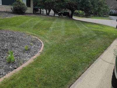 Lawn care service in Eagan, 55123