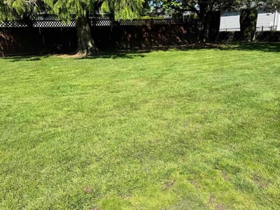 Lawn care service in Lynden, 98264