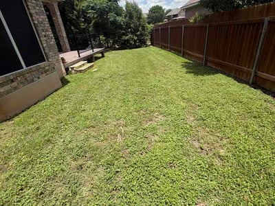 Lawn care service in Round Rock, 78681