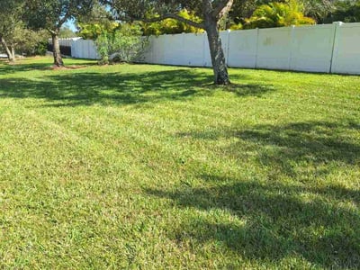 Lawn care service in Clermont, 34715