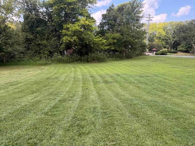 Lawn care service in Clarksville, 37042