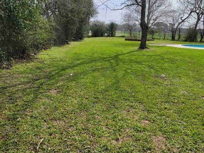 Lawn care service in Houston, 77035