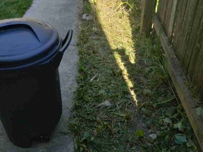 Lawn care service in Milwaukee, 53212